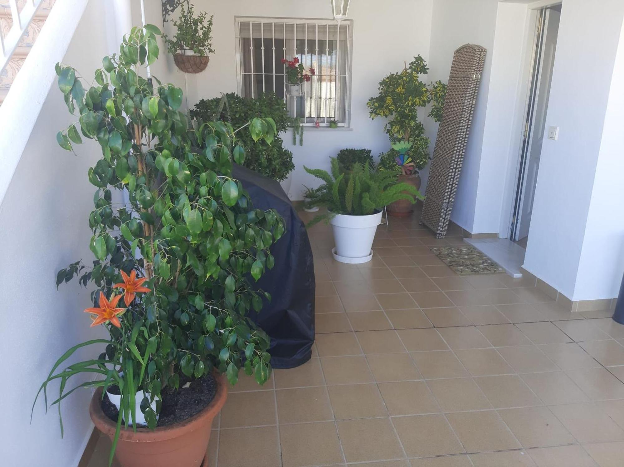 Las Gemelas De Terreros 1 San Juan de los Terreros Exterior foto